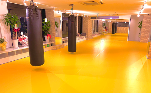 ズーマー、キックフィット